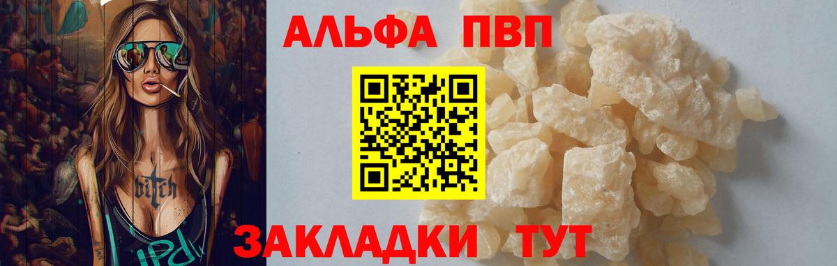 Альфа ПВП СК Шадринск