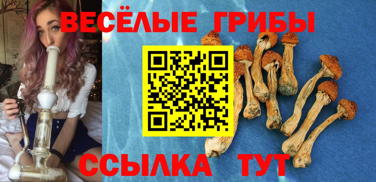 Псилоцибиновые грибы GOLDEN TEACHER Шадринск